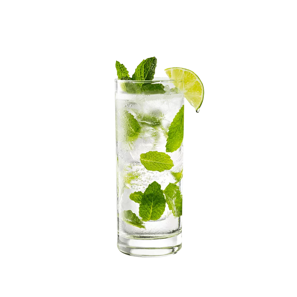ALKOLSUZ MOJITO